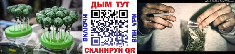 где найти   Малгобек  Cannafood конопля 