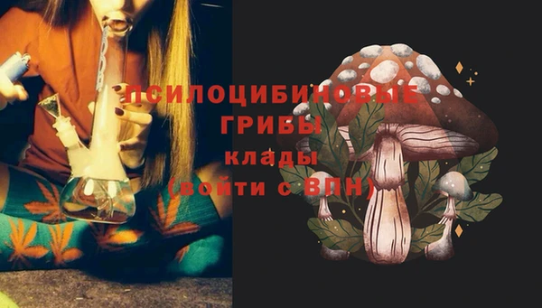 прущая мука Балахна